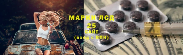 гашик Коряжма