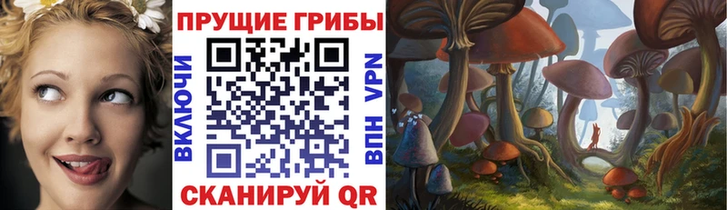 Галлюциногенные грибы Magic Shrooms  Скопин 