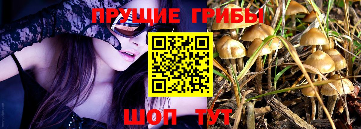 Скопин  Псилоцибиновые грибы Magic Shrooms  Вход с VPN 