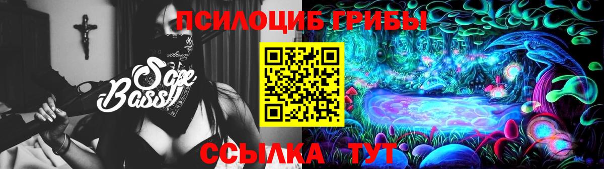 Галлюциногенные грибы Cubensis Скопин