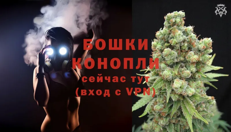 Конопля OG Kush  Скопин 