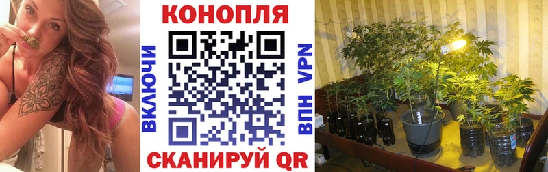 Шишки марихуана тримм  Скопин 