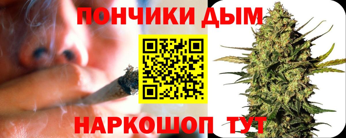 Канабис семена Скопин